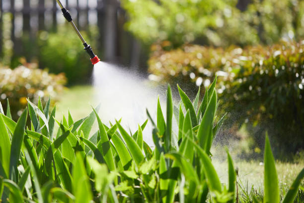 24/7 Emergency Fumigation Services experts in Ashland, NJ