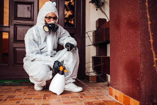 Reliable Fumigation Services contractor in Ashland, NJ by Nex Pest Control