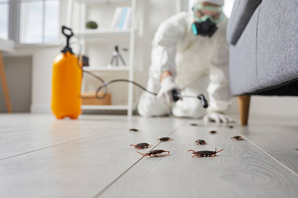 Trusted Cockroach Control service in Ashland, NJ - Nex Pest Control
