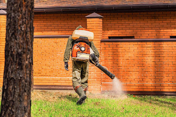 Trusted Fumigation Services service in Ashland, NJ - Nex Pest Control